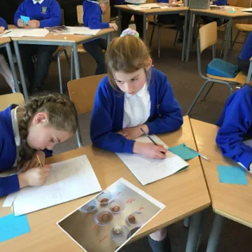 DC19D175-E9A6-4818-B3EB-E94CCE2C3F2B