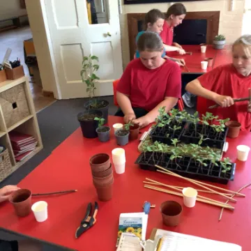 37E5641B-E75F-4E98-82A7-C6CCB9E105CD