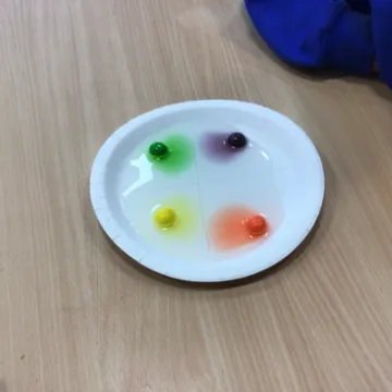 7E1F0604-21D9-40BA-8E02-5FC8279353C1