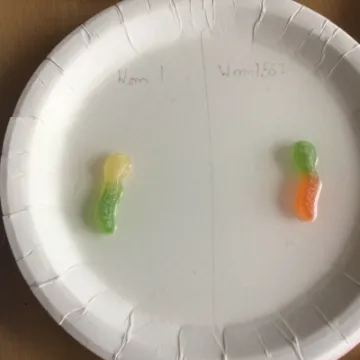 F9333F01-9AF2-4F57-978B-E067A224527B