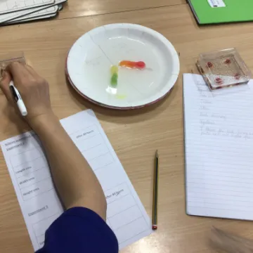 78958635-29AE-488C-874B-F783594ECDE2