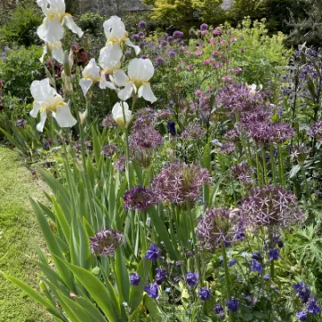 7997505F-0FE7-46C0-8B16-975BF8B694D1