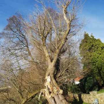 Image: 20230207 132231