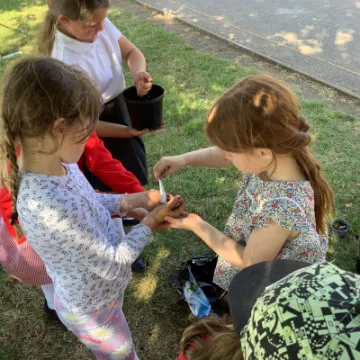 87C774A9-57DA-48D9-98E5-C4AAE1678760