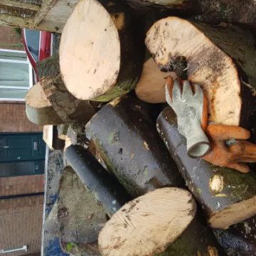 20210310_084623log