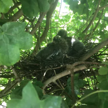 27855A06-33CF-4538-A9B2-CDFF680DBA46