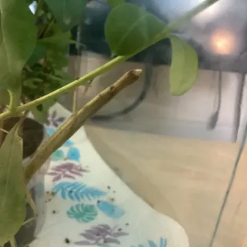 D228EE0E-46F6-482D-9DAC-48C3E8EB01BA