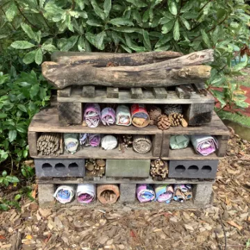 2409B176-5643-4B91-8A45-ABA721004011