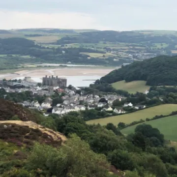 461ce214 bce1 43e9 b79d 6146de8d0278