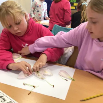 66E15031-5954-4049-8E3F-E33BD67E4B35