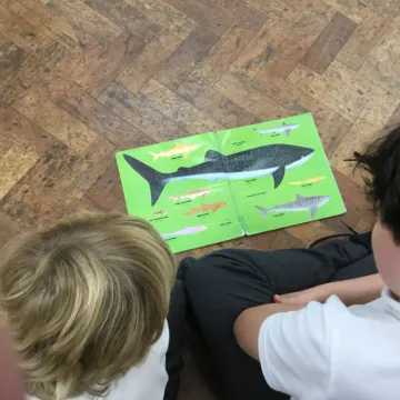 5E6F3A2F-780D-4B75-B830-CDB29B0B69AD