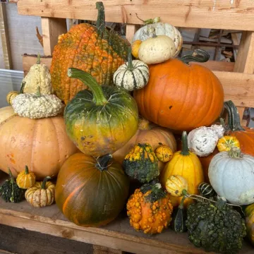 3f0d51d7 0545 4170 bc46 26ecc8d64f61