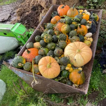 97fd20b8 f653 4b83 87cb 8cbed18beafa