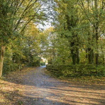 Image: 20231111 102927 Enhanced NR