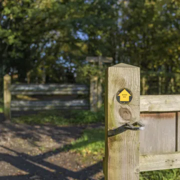 Image: 20231111 103122