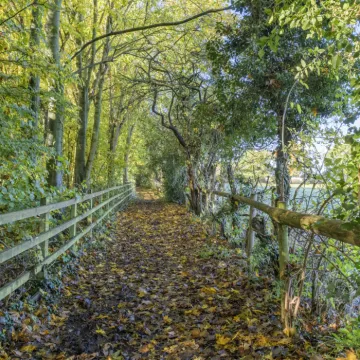 Image: 20231111 120051 01 HDR