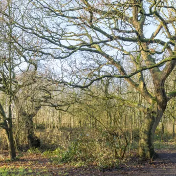 20240106-140954-Enhanced-Nr