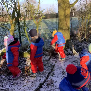 Snow 237