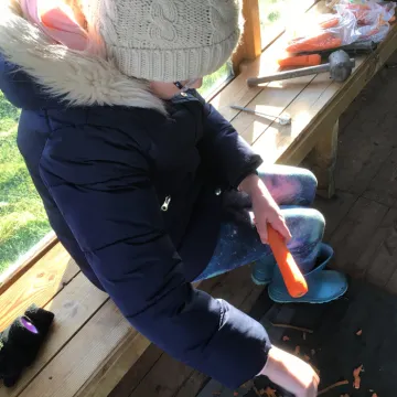Forest schools