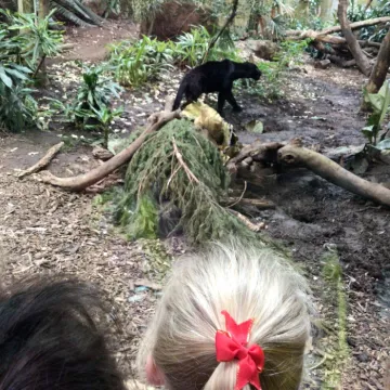 Zoo