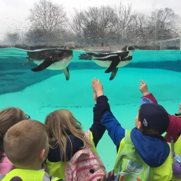Zoo