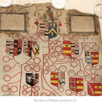 The Brereton Pedigree Role