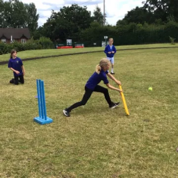 Y4 Cricket