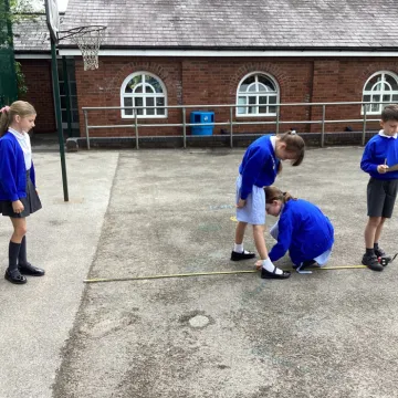 Y3 Science Investigation