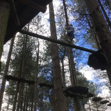Go Ape