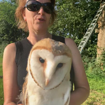 2024 Barn Owl Chicks