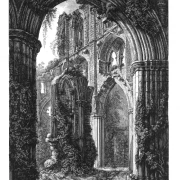[South Transept] Rievaulx