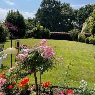 Wi Garden Party