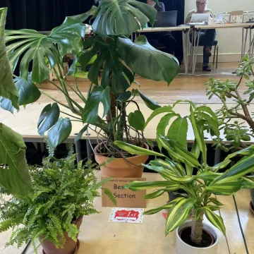 Eae716fc-2fc4-4249-B4fd-Dcde80d73732