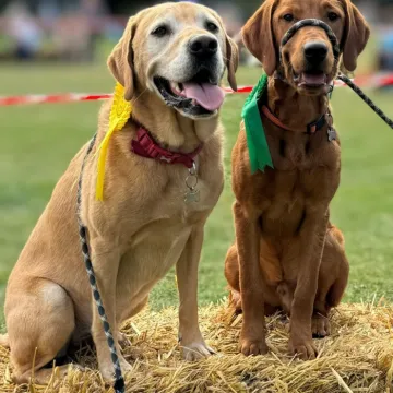 Img-20240831-Wa0032~2