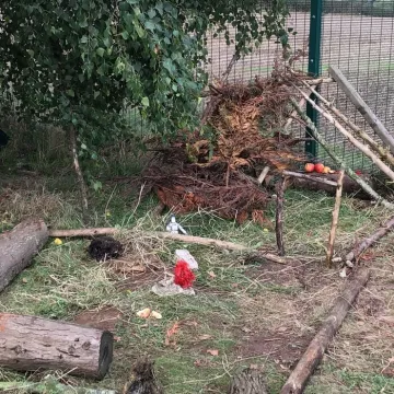 Be4225d1-5220-43c1-8929-D1f64785243e