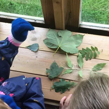 Forest school