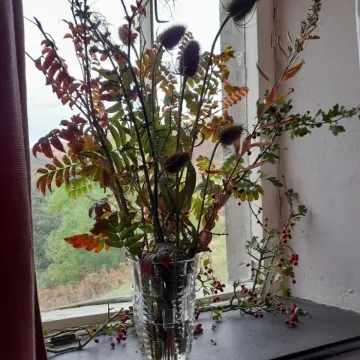 Woodlands Harvest 2