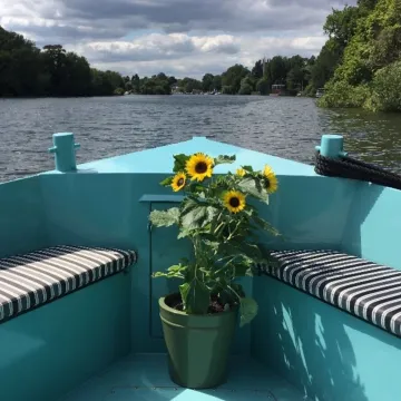 Sunflower-Solar-Canal-Boat