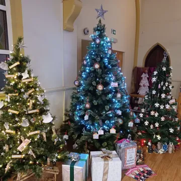 Christmas trees at Hasland