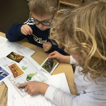 Y3 Biomes