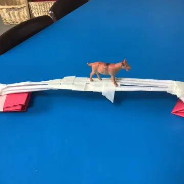 Science