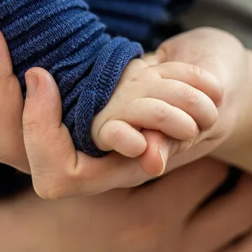 Toddler hand, child's hand, hand, trust, hands, closeness, affection, hold tight, security, keep, support, prop up, connection, contact, close, relationship, connect, together, love, connect competition, trust, trust, trust, trust, trust, security, se