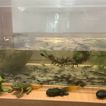 28.3