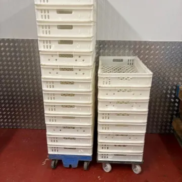 Bak Tray 4