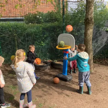 25.5