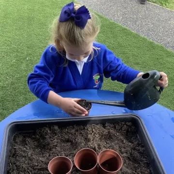 Watering seeds