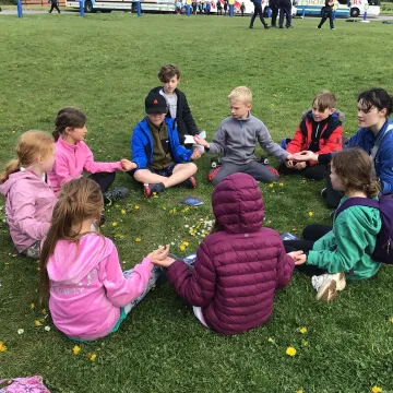 PGL 11
