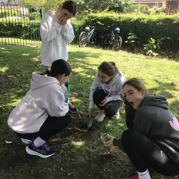 Soil6