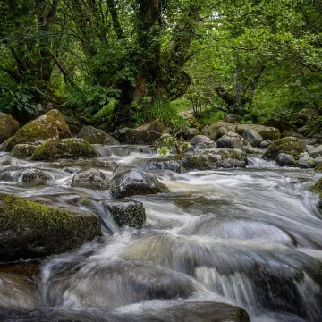 River, cumbria, landscape, nature, uk, outdoor, england, water, scene, cumbria, cumbria, cumbria, cumbria, cumbria