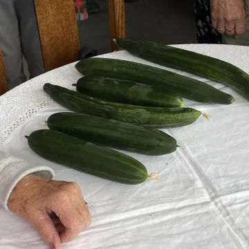 Image1